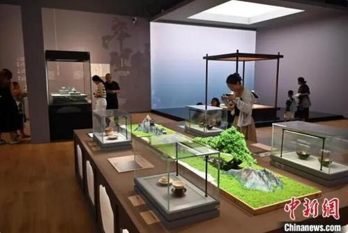 紫禁清韵入燕赵 故宫茶文化文物展亮相河北茶艺会馆
